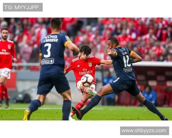 德甲激战本菲卡与利物浦握手言和乌龙球瞬间引发全场热议与数据分析